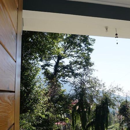Angela'S Boutique Homes Dharamkot Dharamshala Exterior photo